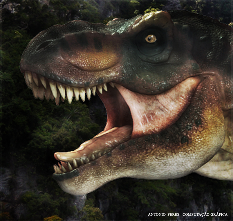 trex6.jpg