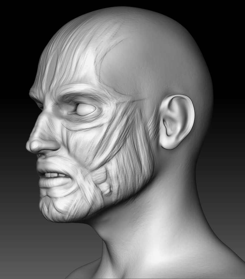 HeadM.jpg