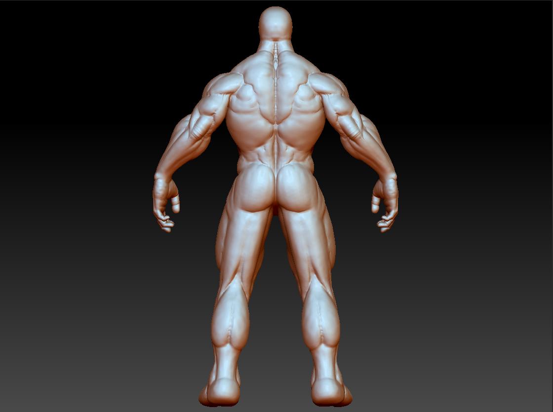 venom back.jpg