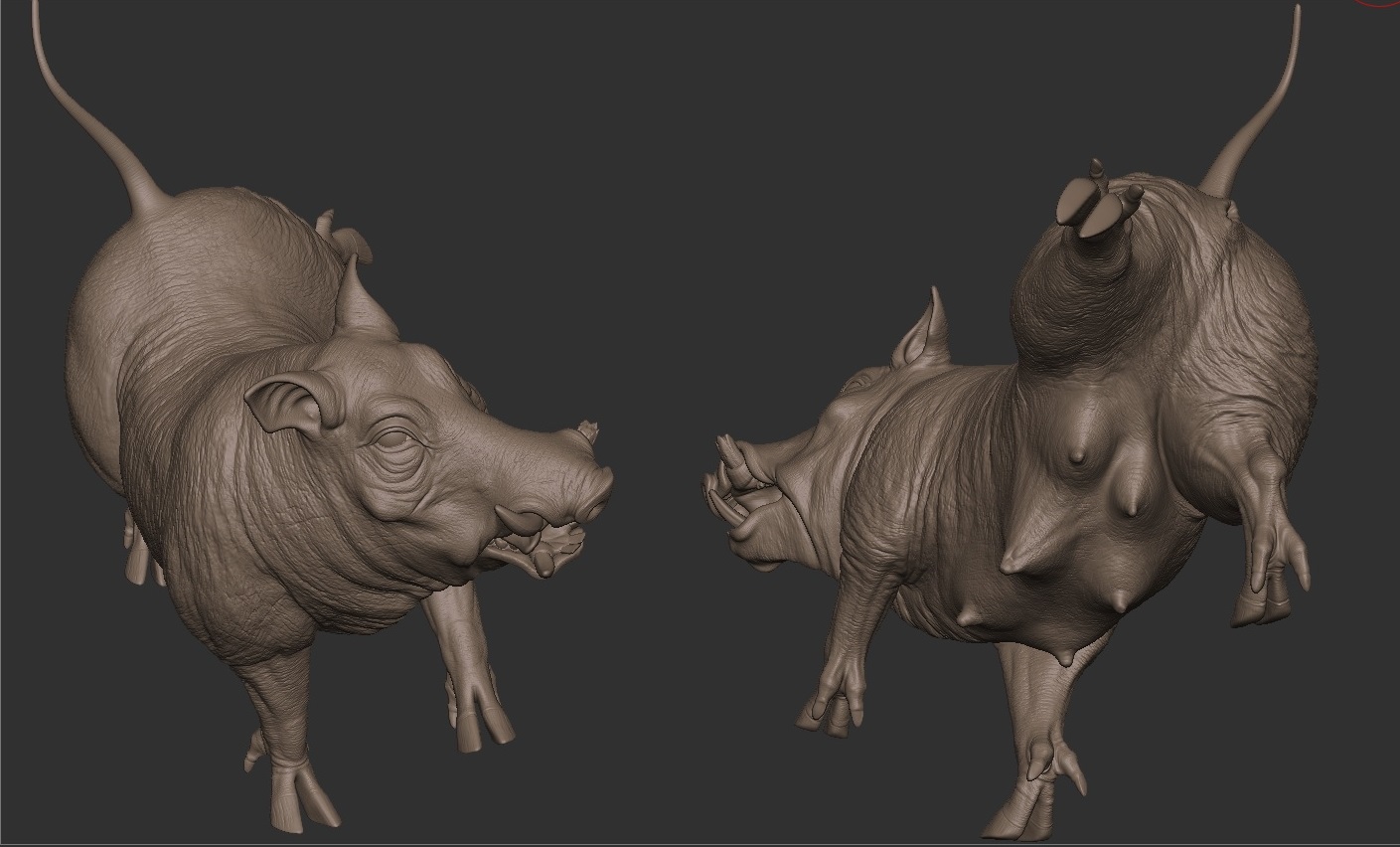 PIG_1