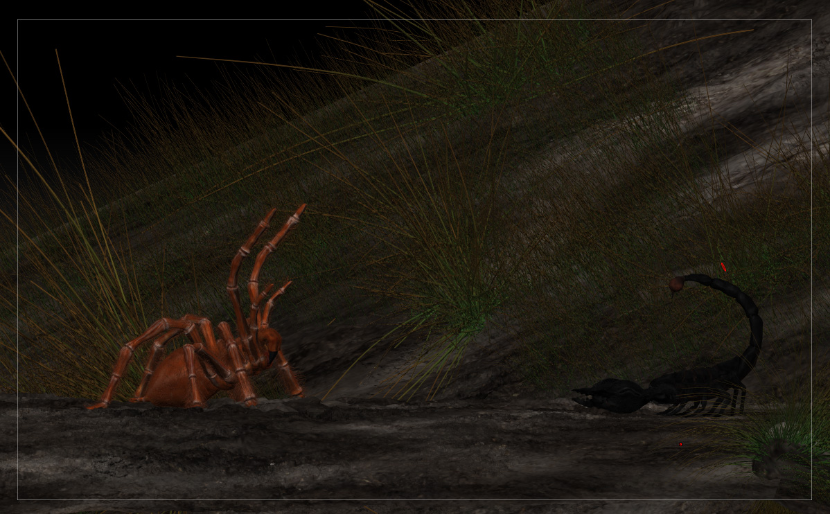 spider.jpg