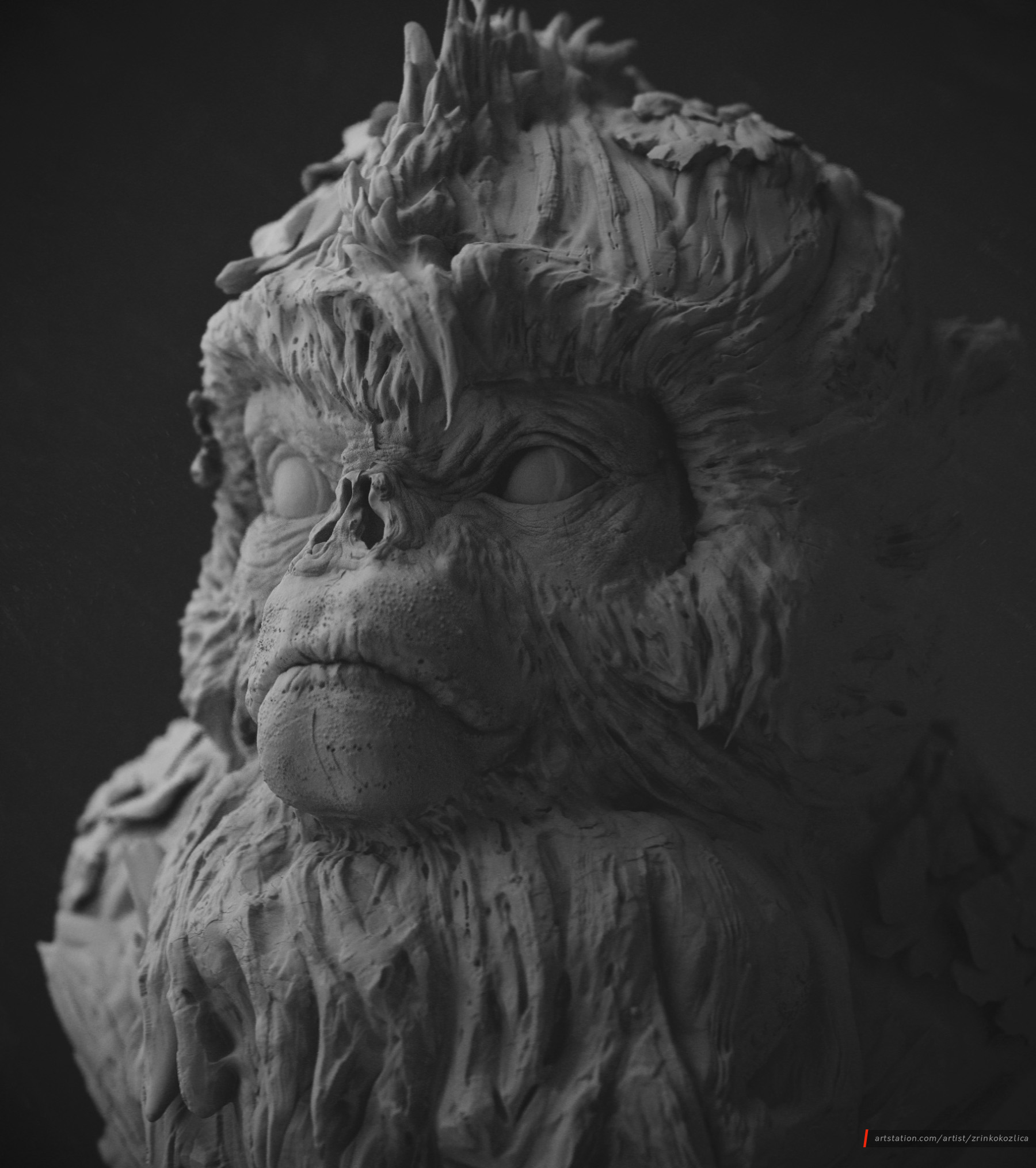 MonkeyShot07_Beauty_BW.jpg