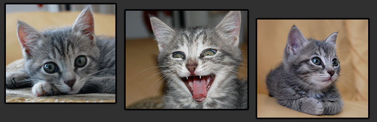 003_my_favourite_ref.jpg