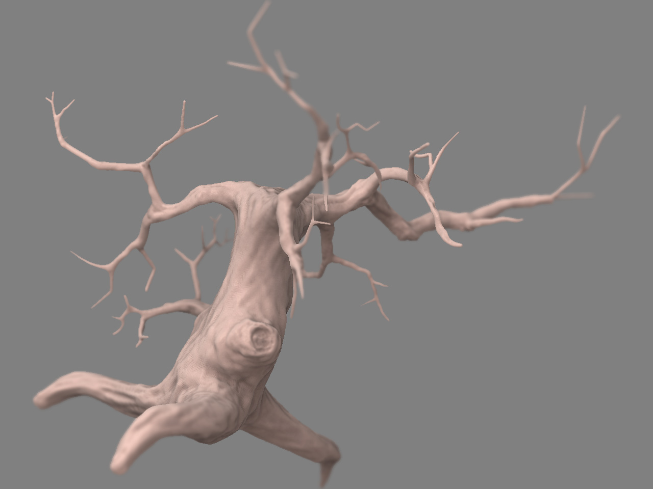 tree4.jpg