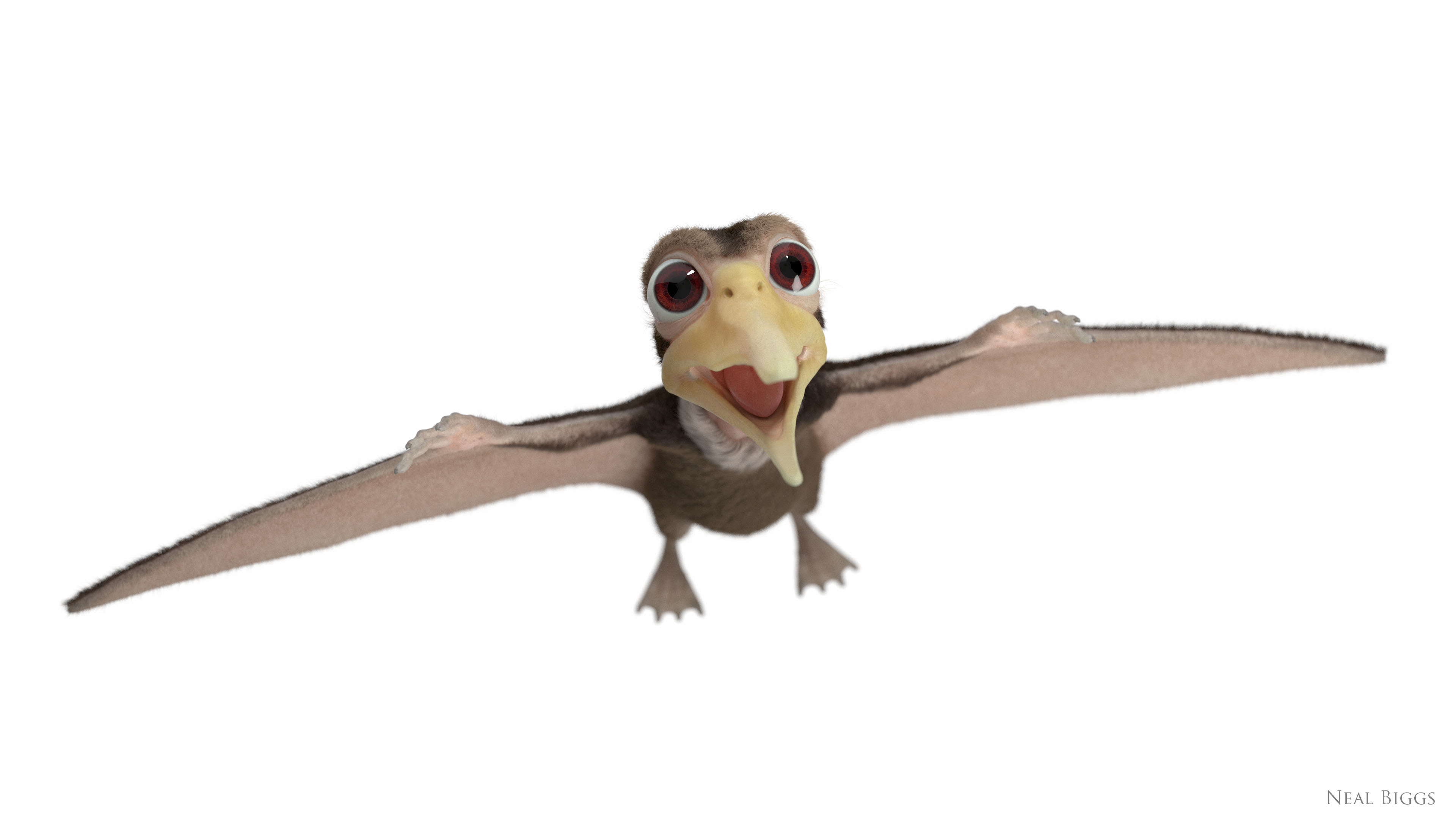 Petrie01a.jpg