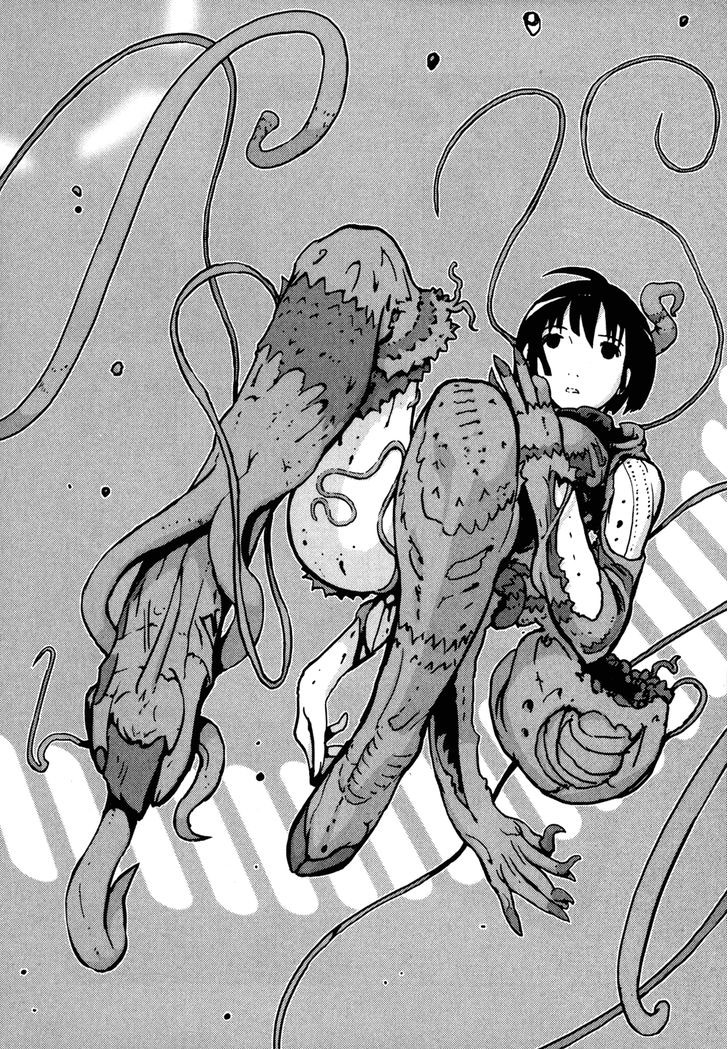 Placental_hoshijiro.jpg
