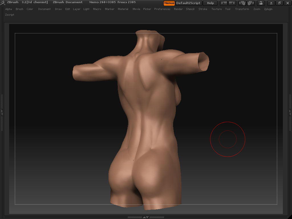 Torso3.jpg