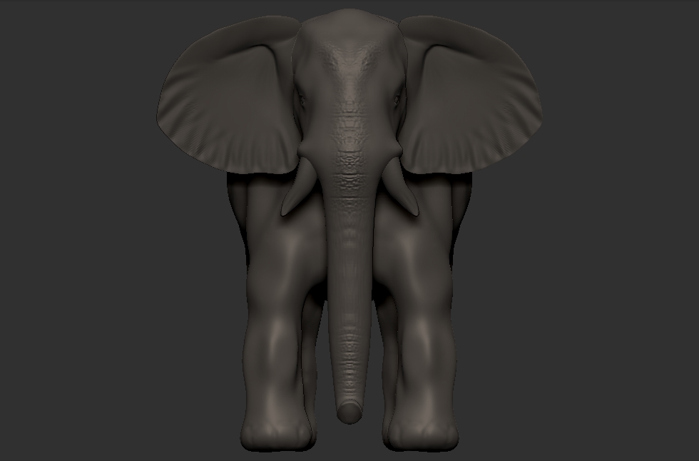 elephant-ears.jpg