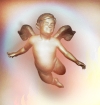 TN.JPG