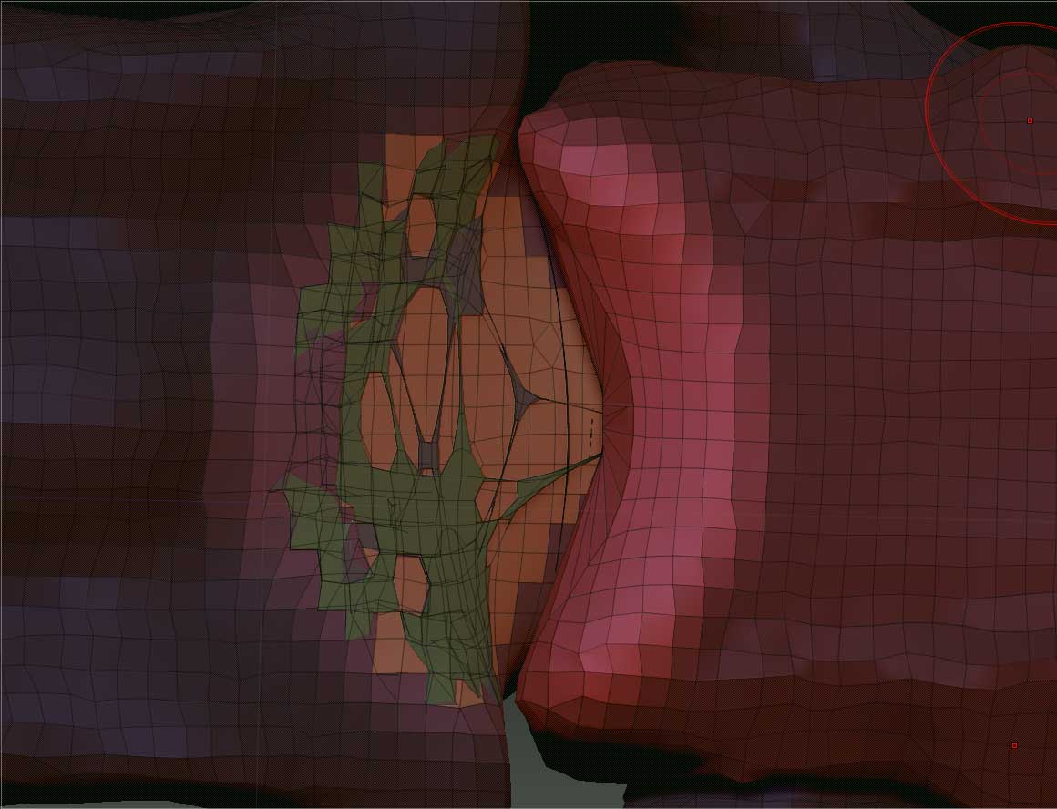 Capture1_stretchedPoly.jpg