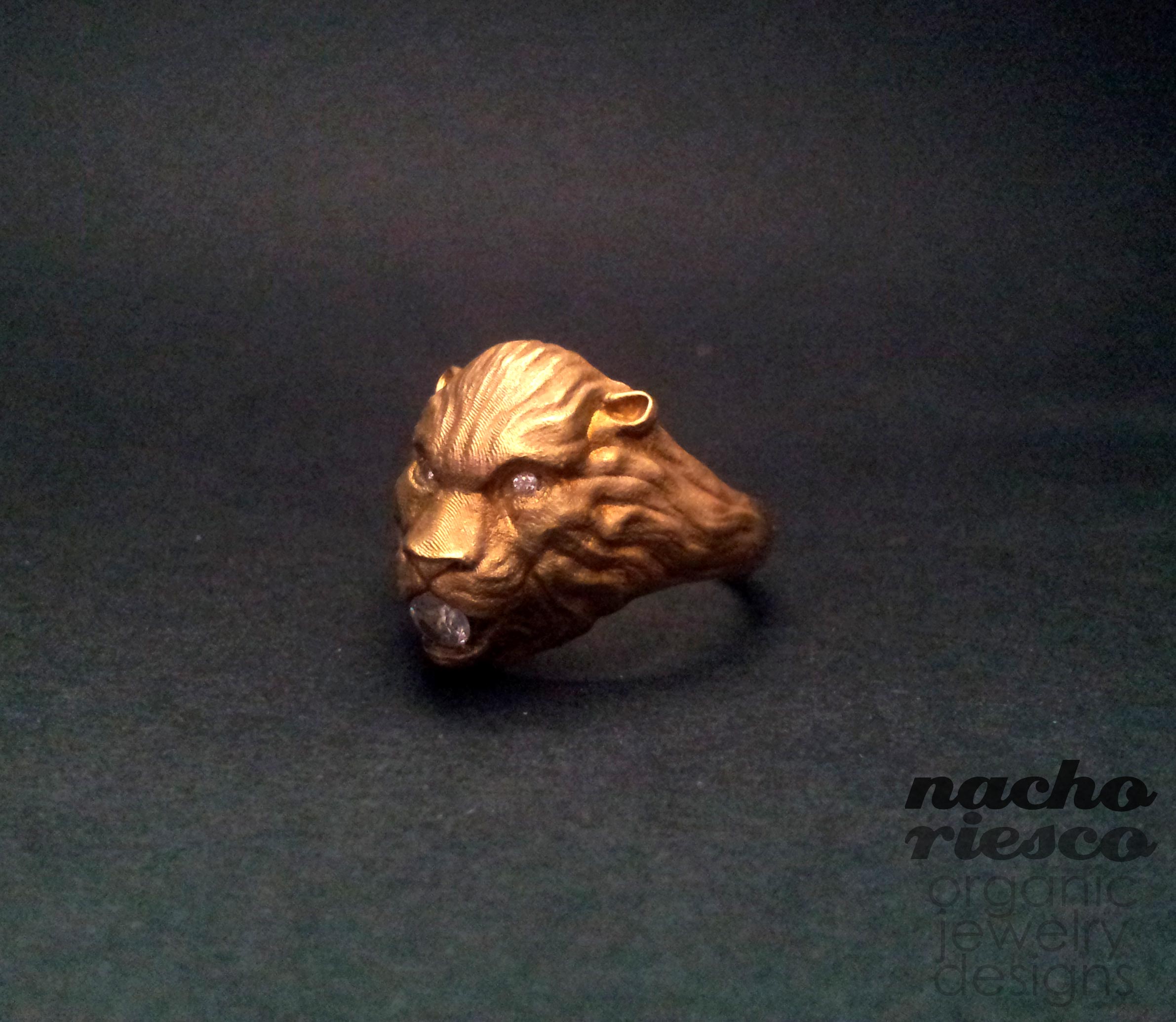 lionring_by_nachoriesco.jpg