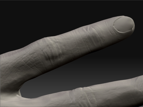 fingericus.jpg