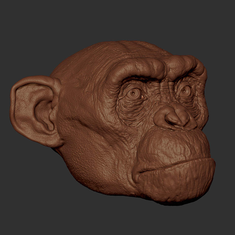 ZBrush Document  003