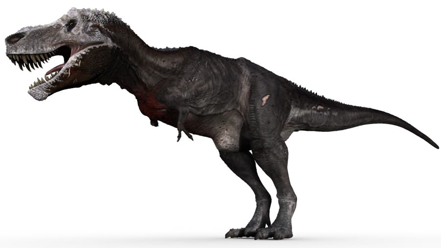 stumpy2.jpg