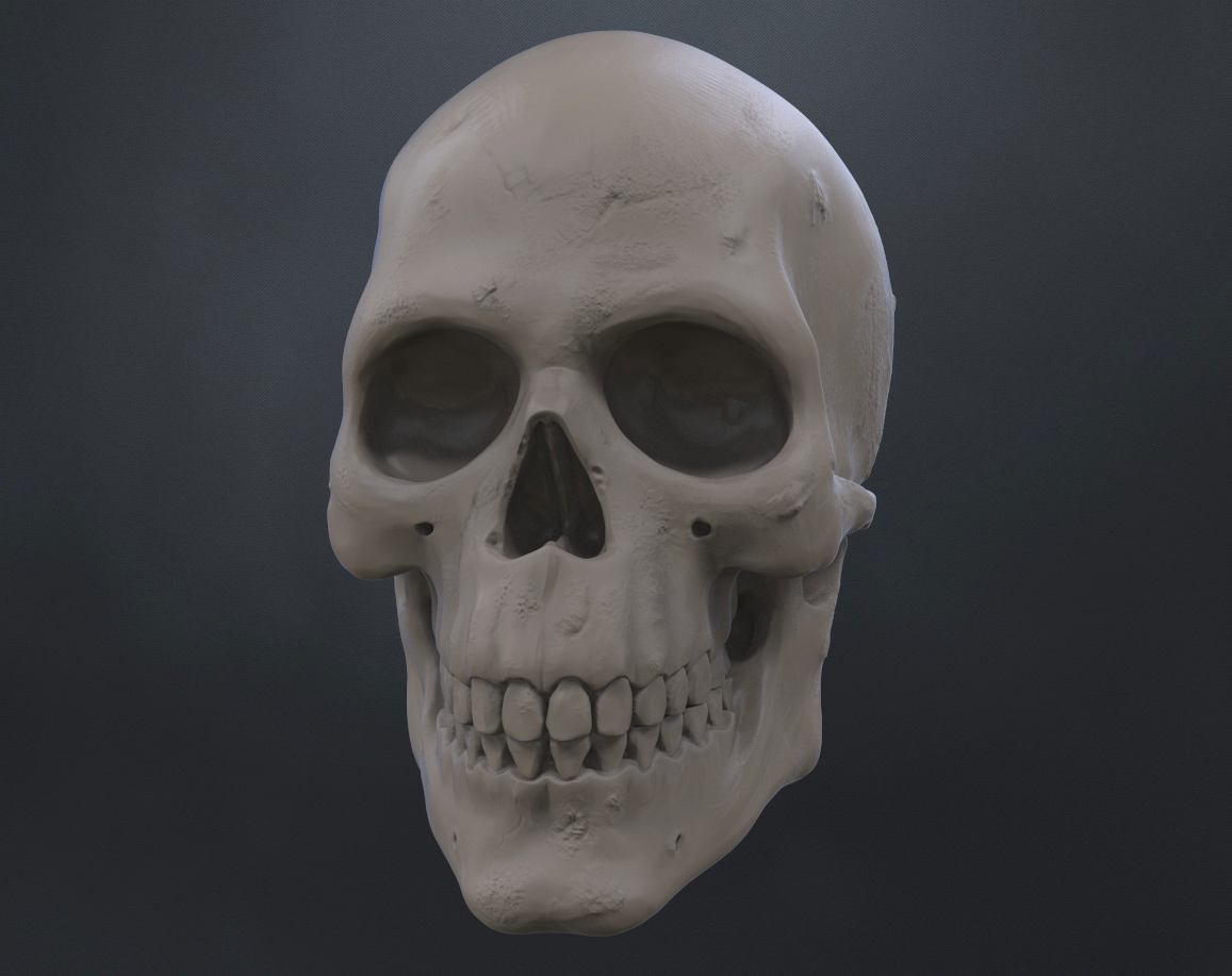 Skull_mini.jpg