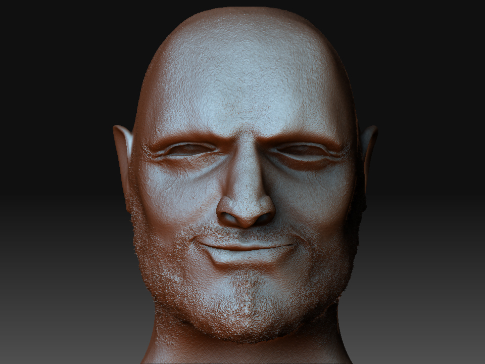 WIP_testa.jpg