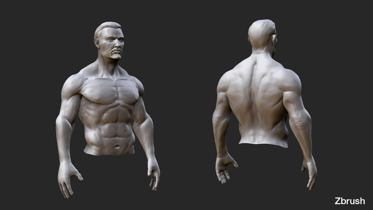 ClayTorso.jpg