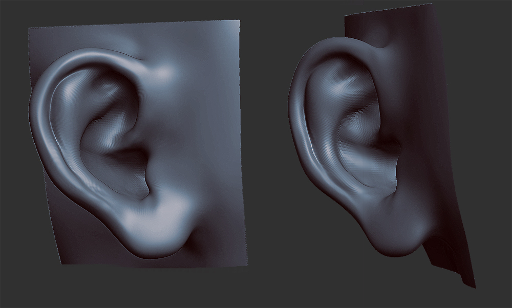 ear.jpg