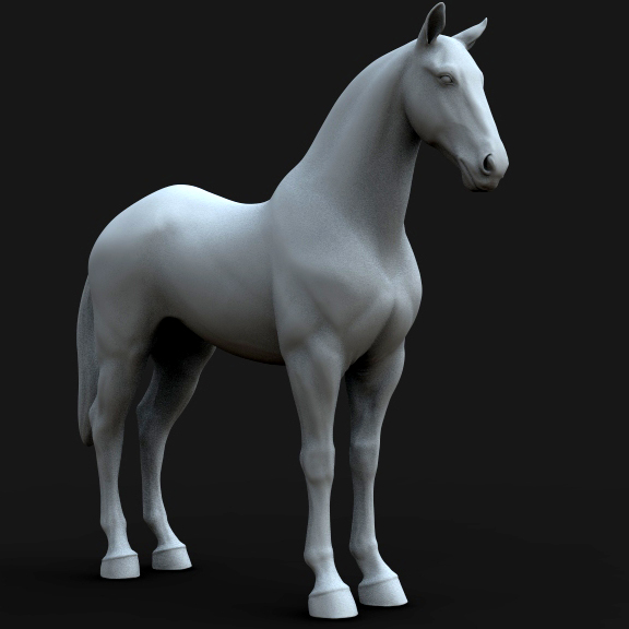 horse1.jpg