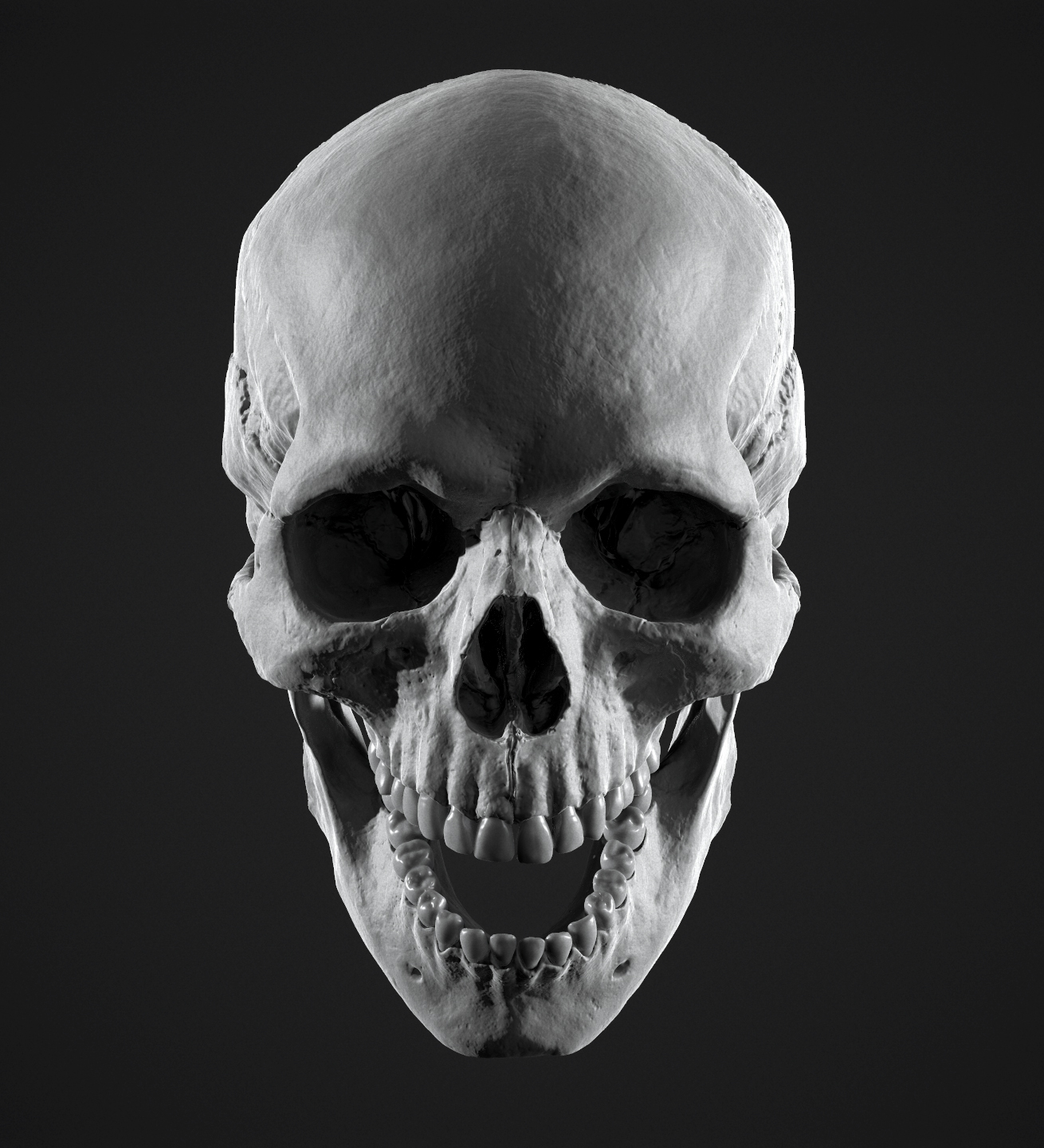skull010.jpg