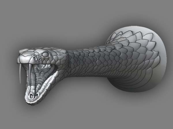 SnakeHeadFirstPass.jpg