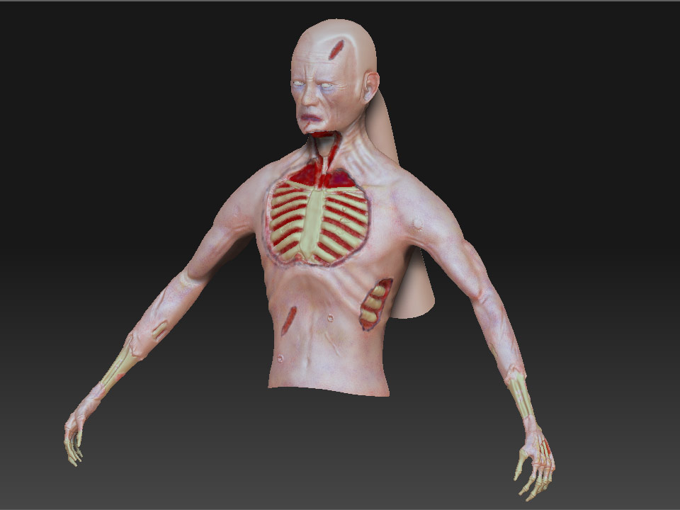 MidknightSkinRenderFAr.jpg