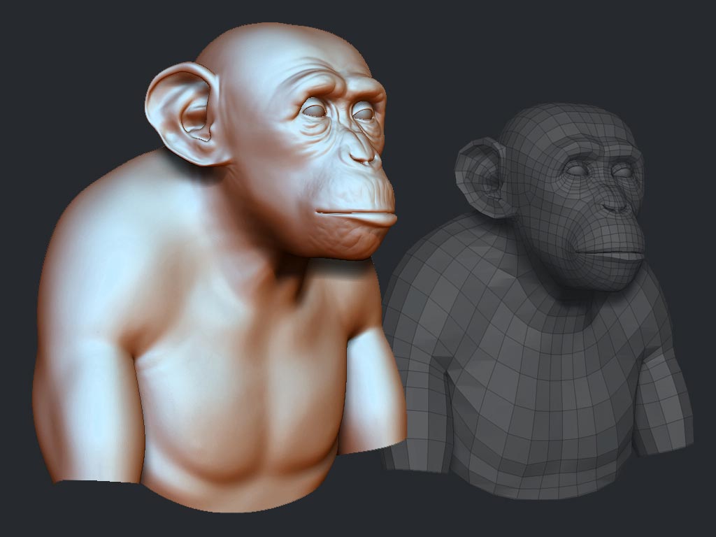 chimpWithWire.jpg
