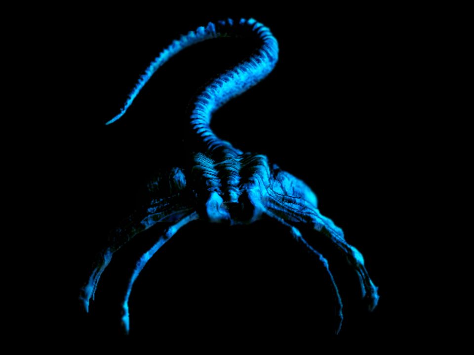 Hugger Azure.jpg