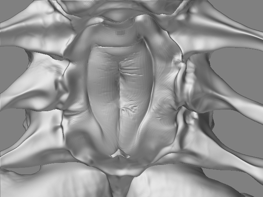 Face Hugger Mesh2.jpg