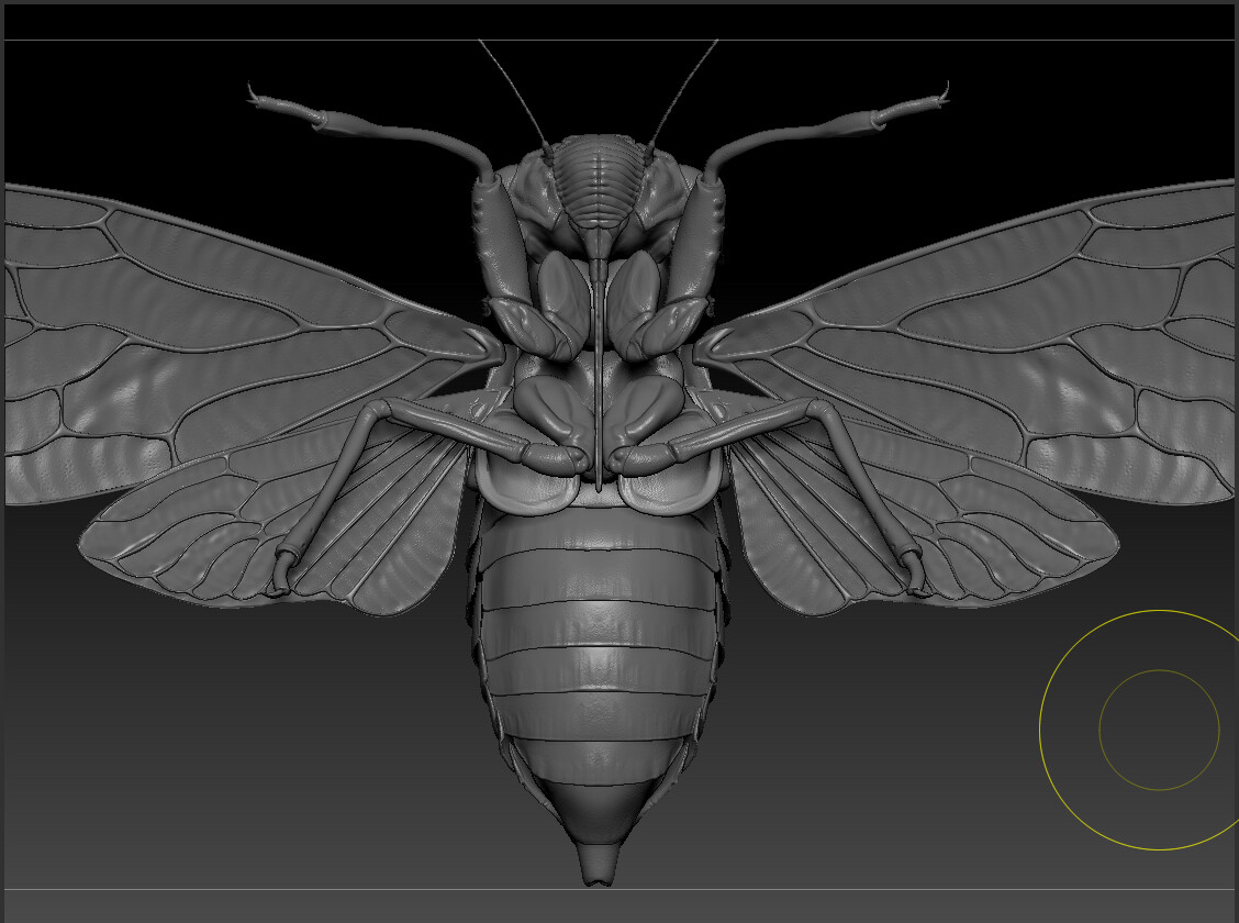eric-keller-cicdada-adult-zbrush-04