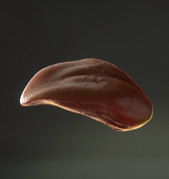 lengua render