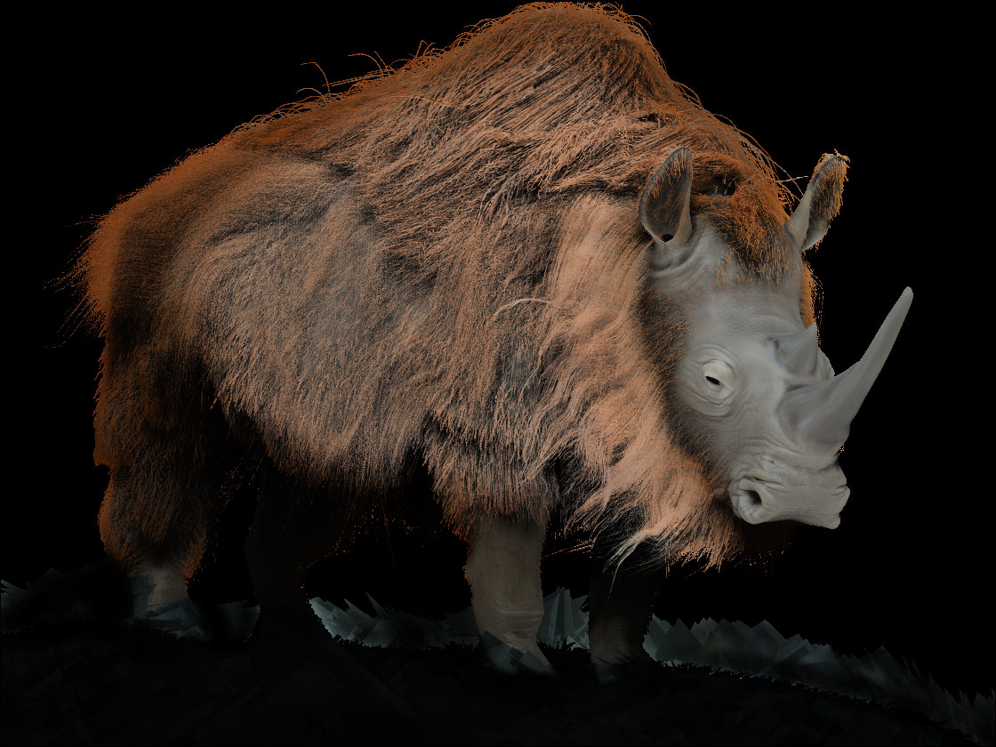 neushoorn1.jpg