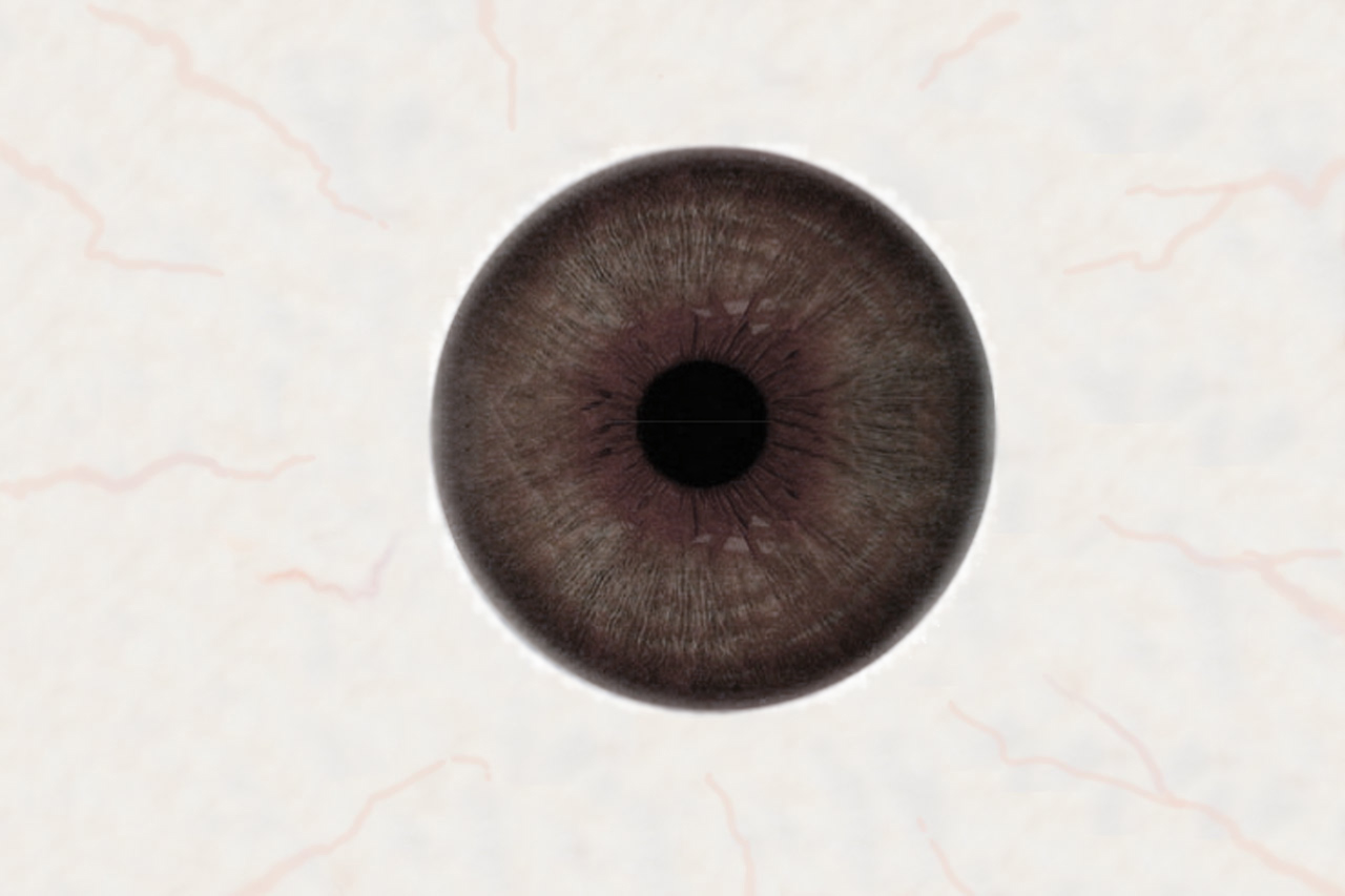oog_grey.jpg