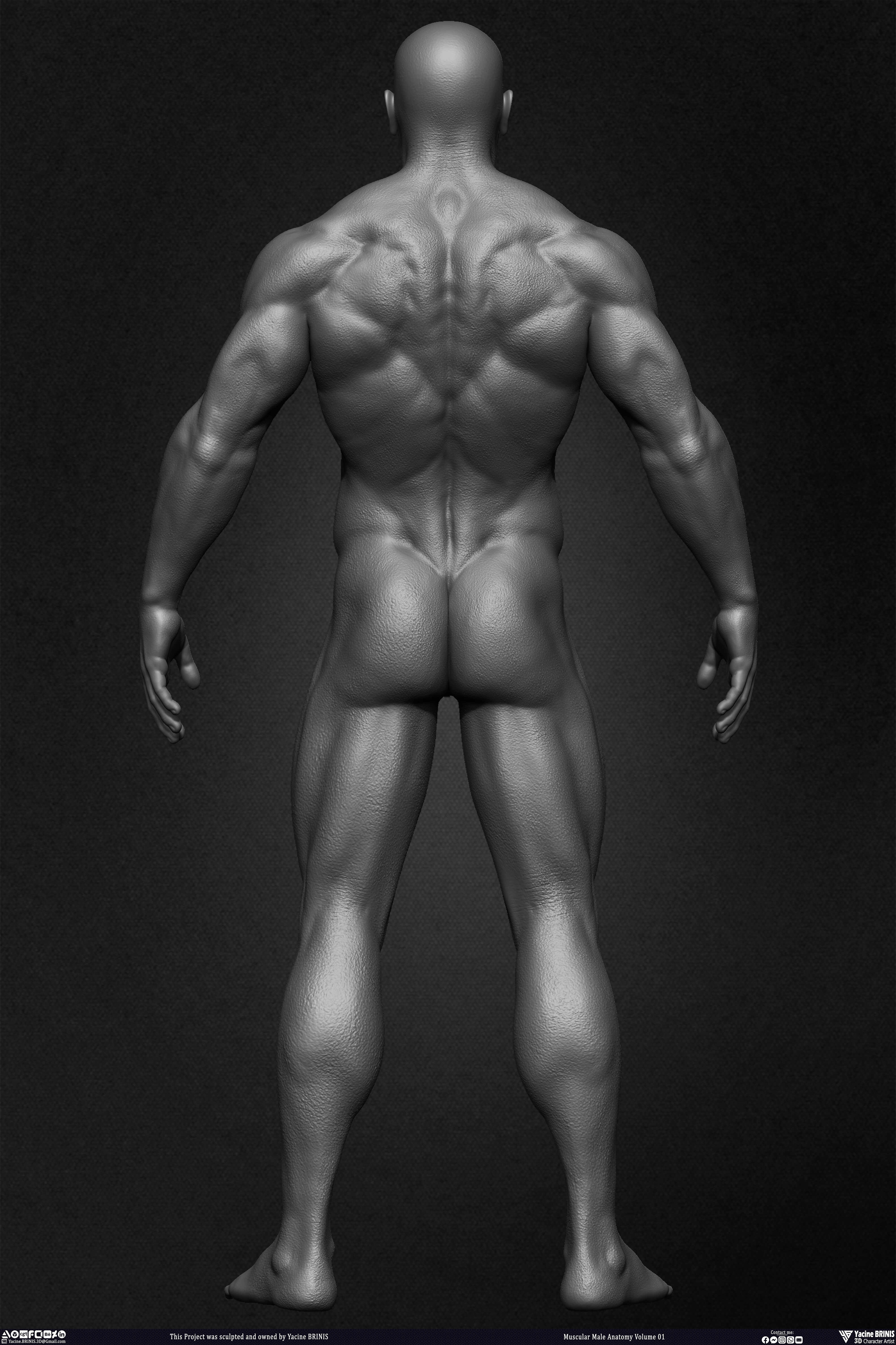 Muscular Male Anatomy 3D Character sculpted by Yacine BRINIS 008