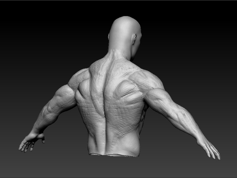 back.jpg