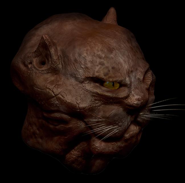 cat2.jpg