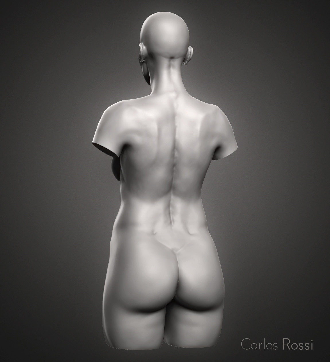 carlos-rossi-back-torso.jpg
