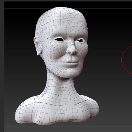 zbrushmodel.jpg