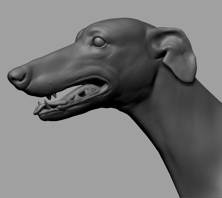 Tonie_wip2_05.jpg
