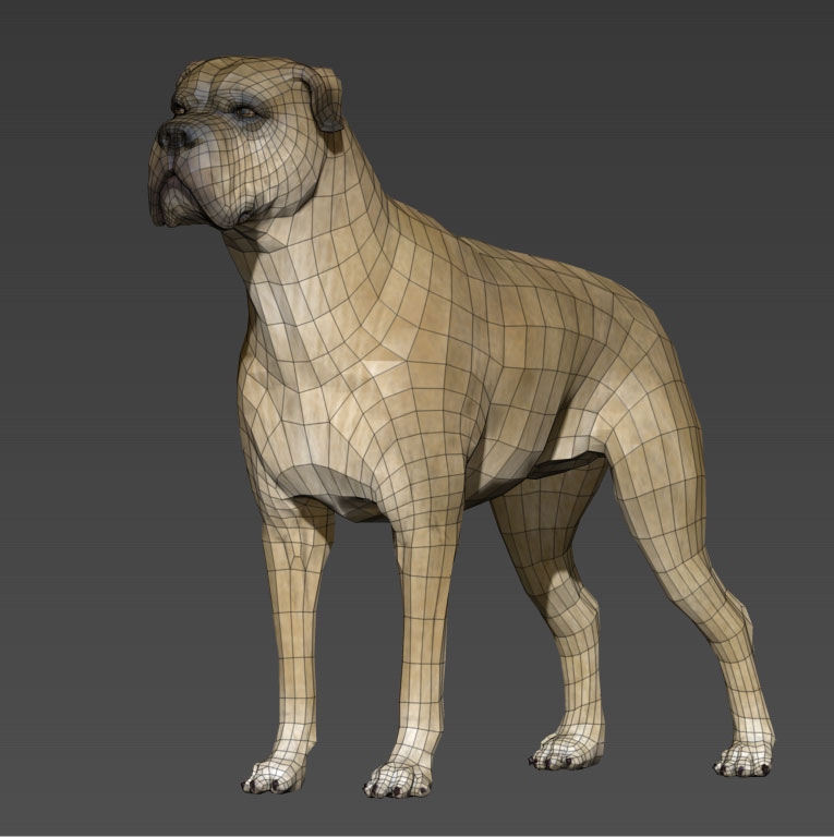 Dog_Wire_Game_Rey_Hernandez.jpg