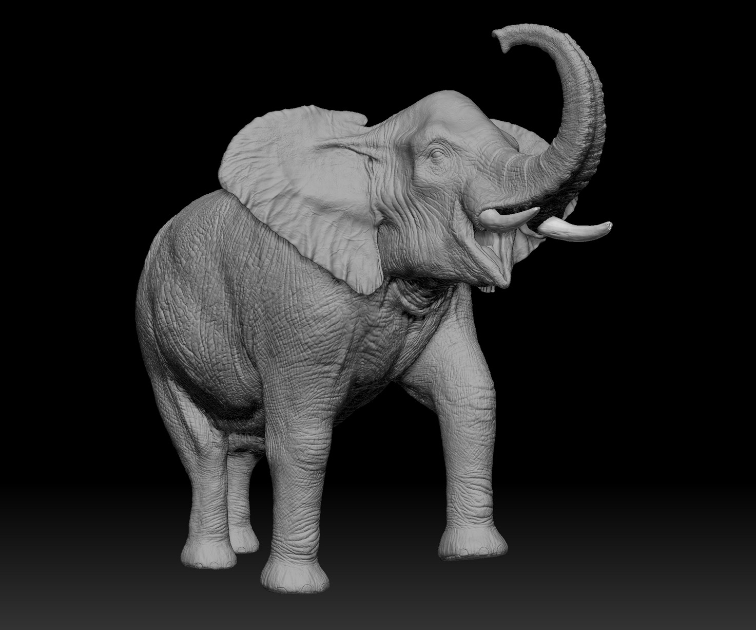 elephant_02.jpg