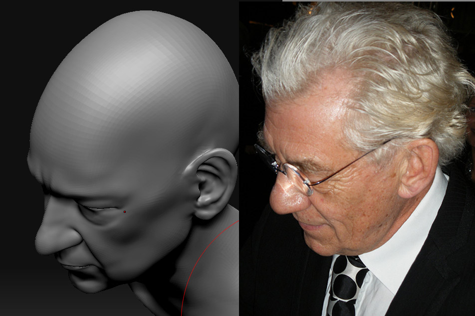 McKellen_Comparison4.jpg