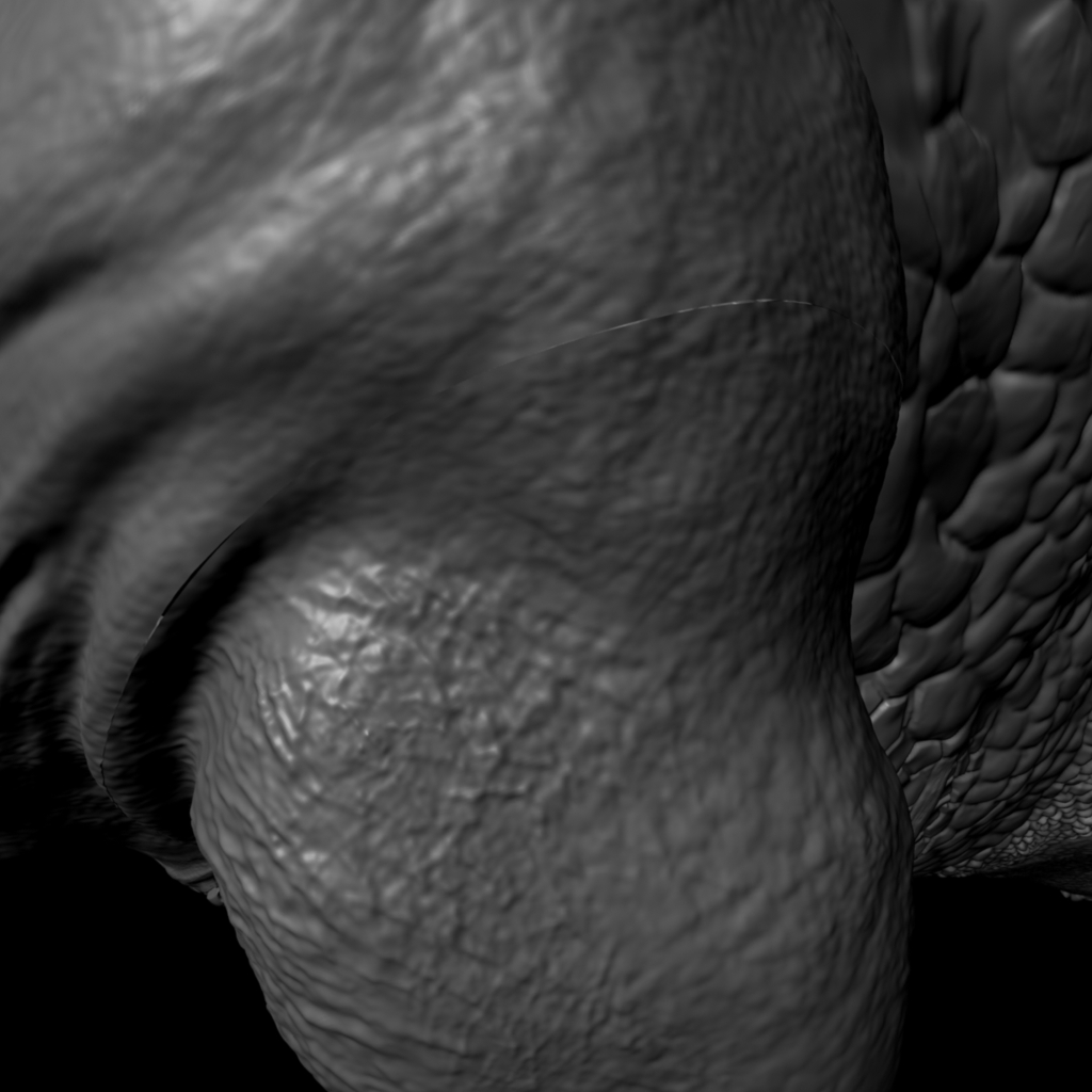 render.jpeg