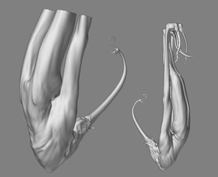 ZBrush Document3.jpg