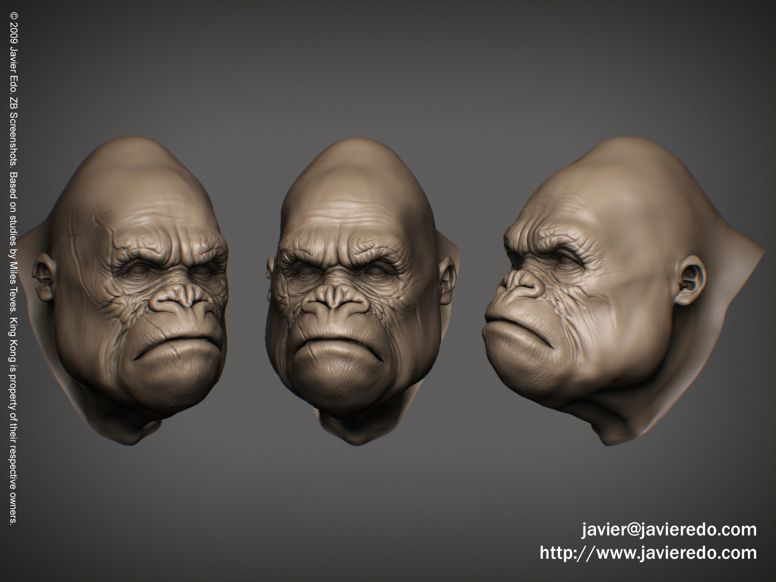 nohairkongforphoto.jpg