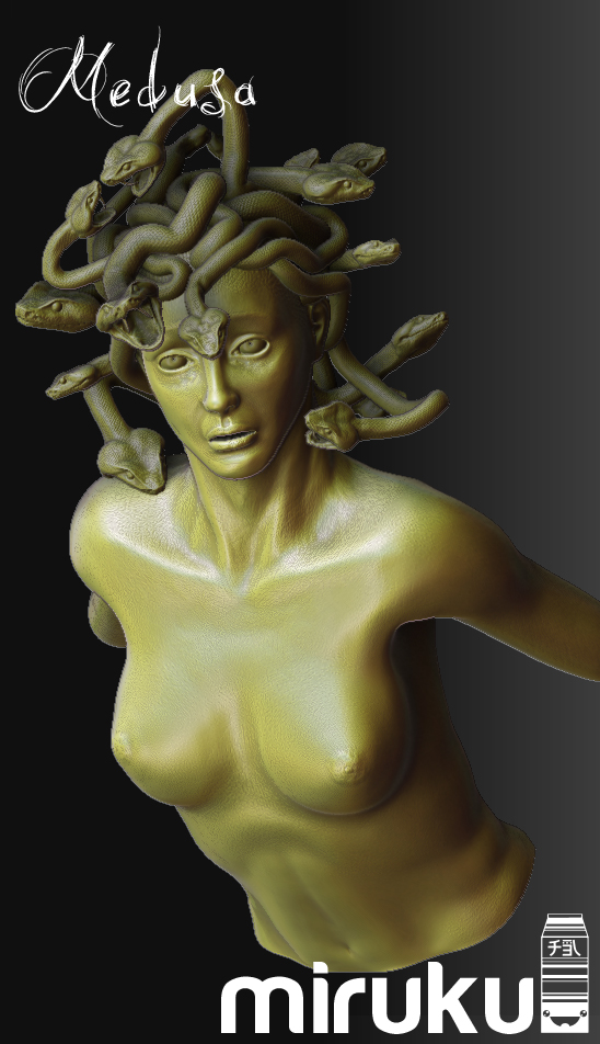 Medusa Front 2.jpg