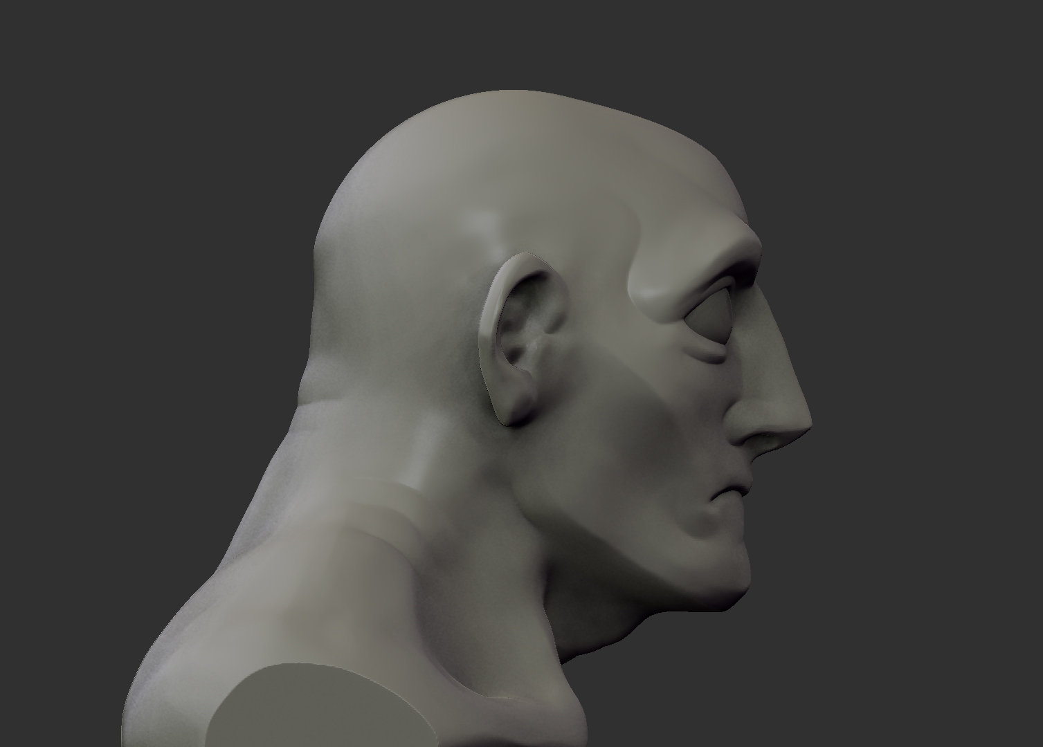 marko-rapaic-bust004.jpg