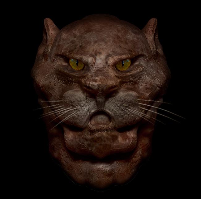 cat1.jpg