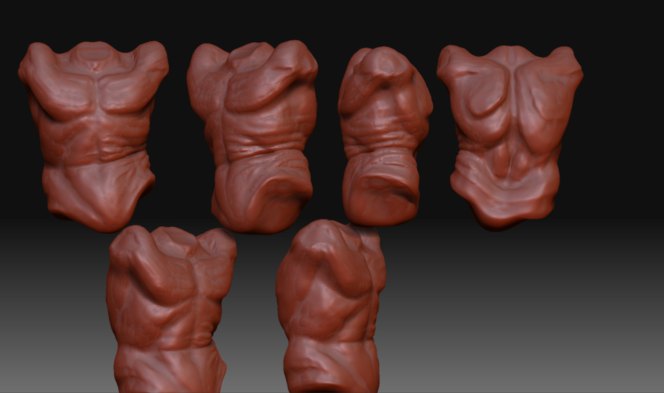 Torso2.jpg