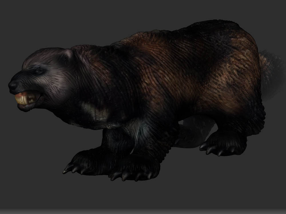 WOLVERINE 9.jpg